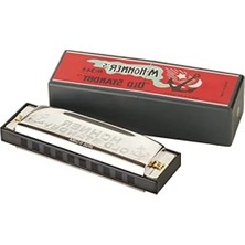 Esranın Dünyası G Anahtarı Diatonik Armonika