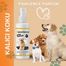 Pawlence Köpek Parfümü Parazit Karşıtı Içerikli Fresh Kokulu 100ML