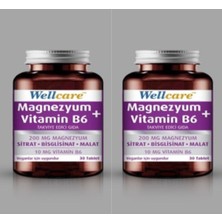 Wellcare Magnezyum + Vitamin B6 30 Tablet 2 Kutu