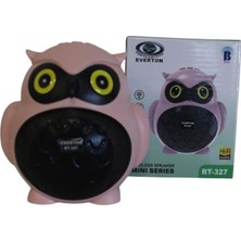  everton rt-327 usb-tf card- ses bombası (karışık renklerde 1 adet)