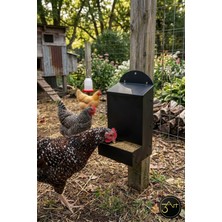 Tavuk Yemliği – Duvara Monte Tavuk Yemlik Kabı - Pratik Tavuk Besleme Ünitesi