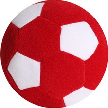 Polar Renkli Top - Anatoya Polar Oyuncak