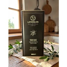 Latmosliva 5 lt Pestisitsiz Soğuk Sıkım Naturel Sızma Zeytinyağı