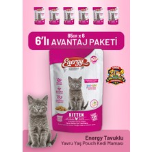 Cat food energy Tavuklu Yavru Yaş Kedi Maması 85 G - 6 Adet
