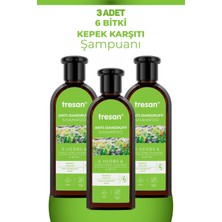 Tresan 6 Bitki Kepekli Saçlar Için Bakım Şampuanı 300 ml 3 Adet