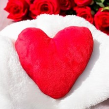 Teknocan Marketing Sevgililer Günü Kırmızı Kalp Yastık 38X38