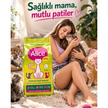 Alice Kitty Süper Premium Yavru Kedi Maması 12 kg Karışık Tat ile Sağlıklı Beslenme