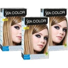 Teknocan Marketing Sea Color Röfle Seti