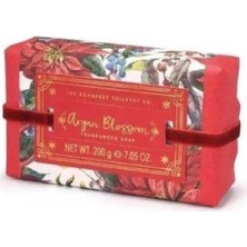 Teknocan Marketing Aromas Artesanales De Antigua Sabun Christmas Argan Blossom 200 gr