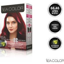 SEA COLOR 66.46 Ateş Kızılı Krem Set Boya Amonyaksız Özellikte Kalıcı ve Canlı Renkler Sunar