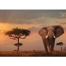 Teknocan Marketing 1000 Parça Masai mara’da Fil Puzzle