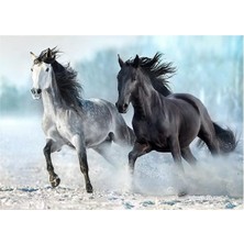 Teknocan Marketing Blue Focus 1000 Parça Puzzle - Horses (Atlar)