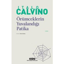 Teknocan Marketing Örümceklerin Yuvalandığı Patika