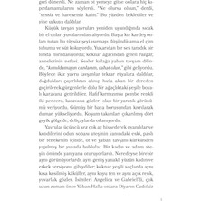 Teknocan Marketing Yaban Halkı