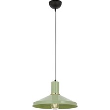 Teknocan Marketing AV-4106-M24-GREEN Yeşil Boyalı Modern Avize E27 Metal 30CM