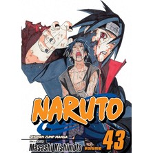 Teknocan Marketing Naruto, Vol. 43: Volume 43