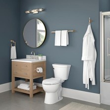 Teknocan Marketing Dryden Havlu Yüzüğü, Şampanya Bronz, Banyo Aksesuarları, 75146-CZ 8,9 x 15,2 x 8,9 cm