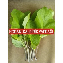 Nutyen 250 Gr. Hodan-Kaldirik-Ispıt Otu