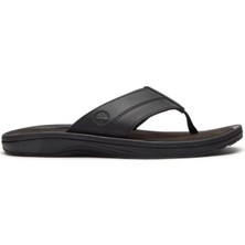 Timberland Originals Slıde Sandal Erkek Ayakkabısı TB0A2R4EENR1