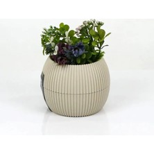 Al-Fil Teknoloji Mercan Saksı 11.5X12 cm 0.70 Lt