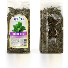 Al-Fil Teknoloji Poşet Oğul Otu 40 Gr.