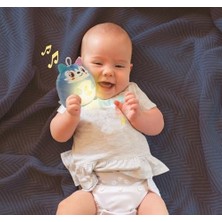 Teknocan Marketing Baby Minik Kurt