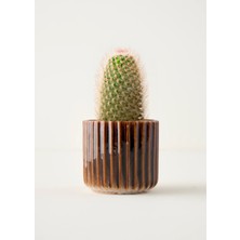 Bella Maison Lavea Seramik Saksı Gri (13x13x12 cm)