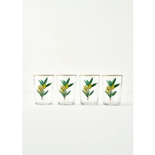 Olive Meşrubat Bardağı 4'lü Yeşil (510 Cc)