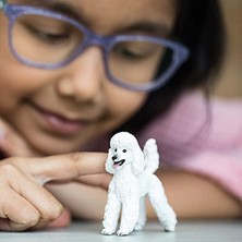 Teknocan Marketing Kaniş