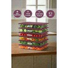 Selka Home 6 Adet 2,5 Lt. Nora Organizer Buzdolabı Buzluk Düzenleyici Saklama Kabı