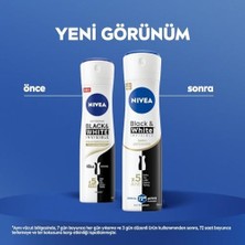 Teknocan Marketing Kadın Sprey Deodorant Black & White Invisible Ipeksi Pürüzsüzlük, Ter ve Ter Kokusuna Karşı 72 Saat Anti-Perspirant Koruma 150 ml