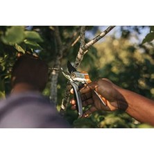 Teknocan Marketing Bypass Bahçe Makası Taze Dallar ve Çalılar Için, Yapışmaz Kaplama, Çelik Bıçaklar/alüminyum Saplar, Siyah/turuncu, Plus, P531, 1057168