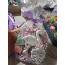 Opulent Accessories Flamingo Taş Boyama Seti 10 Adet Okul Öncesi Etkinlik, Karne Hediyesi, Doğum Günü Hediyelik, Kurumsal Etkinlik
