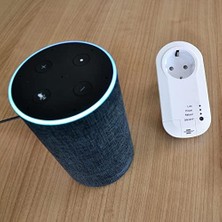 Teknocan Marketing Wifi Özellikli Zaman Ayarlı Ses Kontrollü Akıllı Priz, Standart