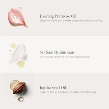 Teknocan Marketing Jane Iredale Colorluxe High Impact Dudak Parlatıcı