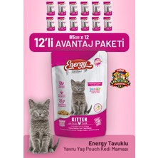 Cat food energy Tavuklu Yavru Yaş Kedi Maması 85 G - 12 Adet