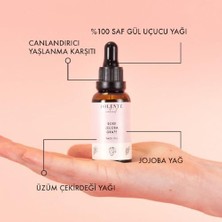 Teknocan Marketing Polente Natural - Gül & Jojoba Canlandırıcı Yüz Yağı (30 Ml)
