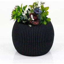 Al-Fil Teknoloji Mercan Saksı 2 Numara 0,35 Litre Su Hazneli Dekoratif Kaktüs Sukulent Saksı 11,8x9,2 cm