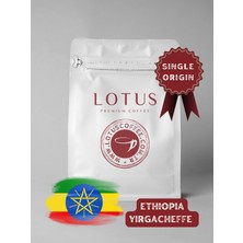 Lotus Coffee Etiyopya Yirgacheffe Natural Single Origin Çekirdek Kahve