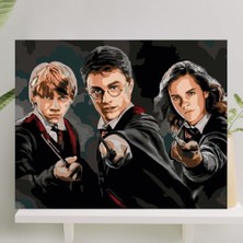 Sayılarla Boyama Tuval Seti Fırça Boya Dahil (Çıtalı) 40X50 cm - Harry Potter