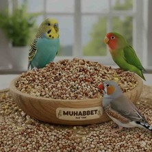 Regina Muhabbet Yemi Lüx Kuş Yemi Açık 3 kg