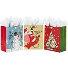 Vigordurus Kağıt Mendil ile Hediye Çantası Paketi