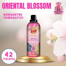 Sır Aromatique Konsantre Çamaşır Yumuşatıcısı Oriental Blossom 3x Parfüm Etkisi & Kalıcı Koku 750 ml
