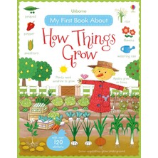 Vigordurus USB - My First Book About How Things Grow Sticker Book