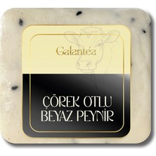 Galante Farm Galantèa - Inek Çörek Otlu Beyaz Peynir (500 Gr)