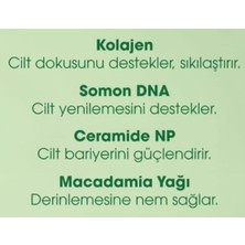 Vigordurus & Somon Dna Sabunu 120G – Nemlendirici Cilt Bakım Sabunu, Ceramide Np ve Macadamia Yağı Içerikli – Tüm Cilt Tipleri Için Uygun