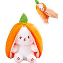 Vigordurus Çilek Yastık Tavşan Pelüş - Doldurulabilir, Çanta, Büyük Kulaklı (Havuç)