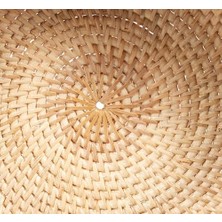 Vigordurus Mayura Tepsi L