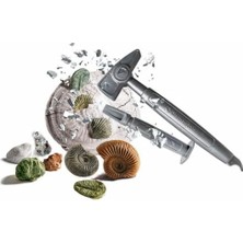 Vigordurus Bilim ve Oyun Fosiller ve Mineraller Kazı Seti