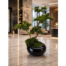 Bonsai Yapay Ağaç – Modern Siyah Saksı Lüks Salon & Ofis Dekoru